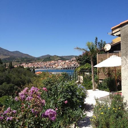 Villa Bougainvilliers Banyuls-sur-Mer Rum bild