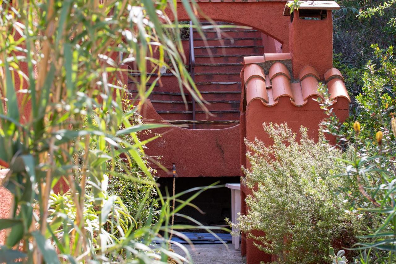 Villa Bougainvilliers Banyuls-sur-Mer Exteriör bild