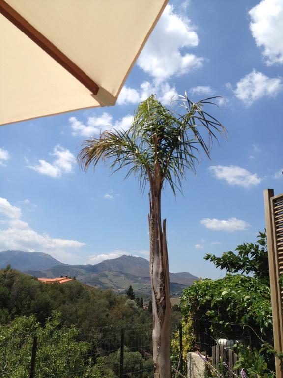 Villa Bougainvilliers Banyuls-sur-Mer Rum bild