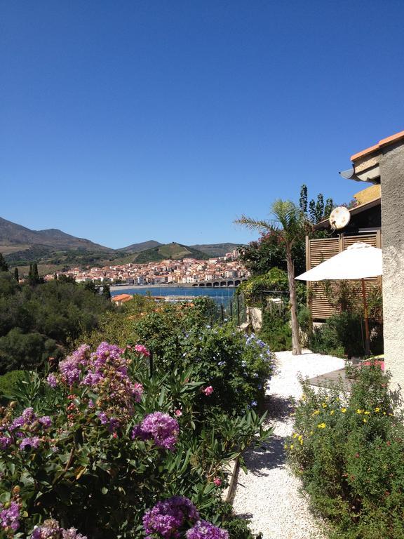 Villa Bougainvilliers Banyuls-sur-Mer Rum bild